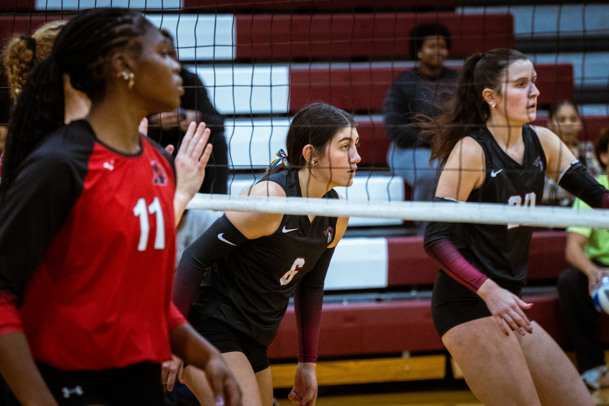 WVB Albright