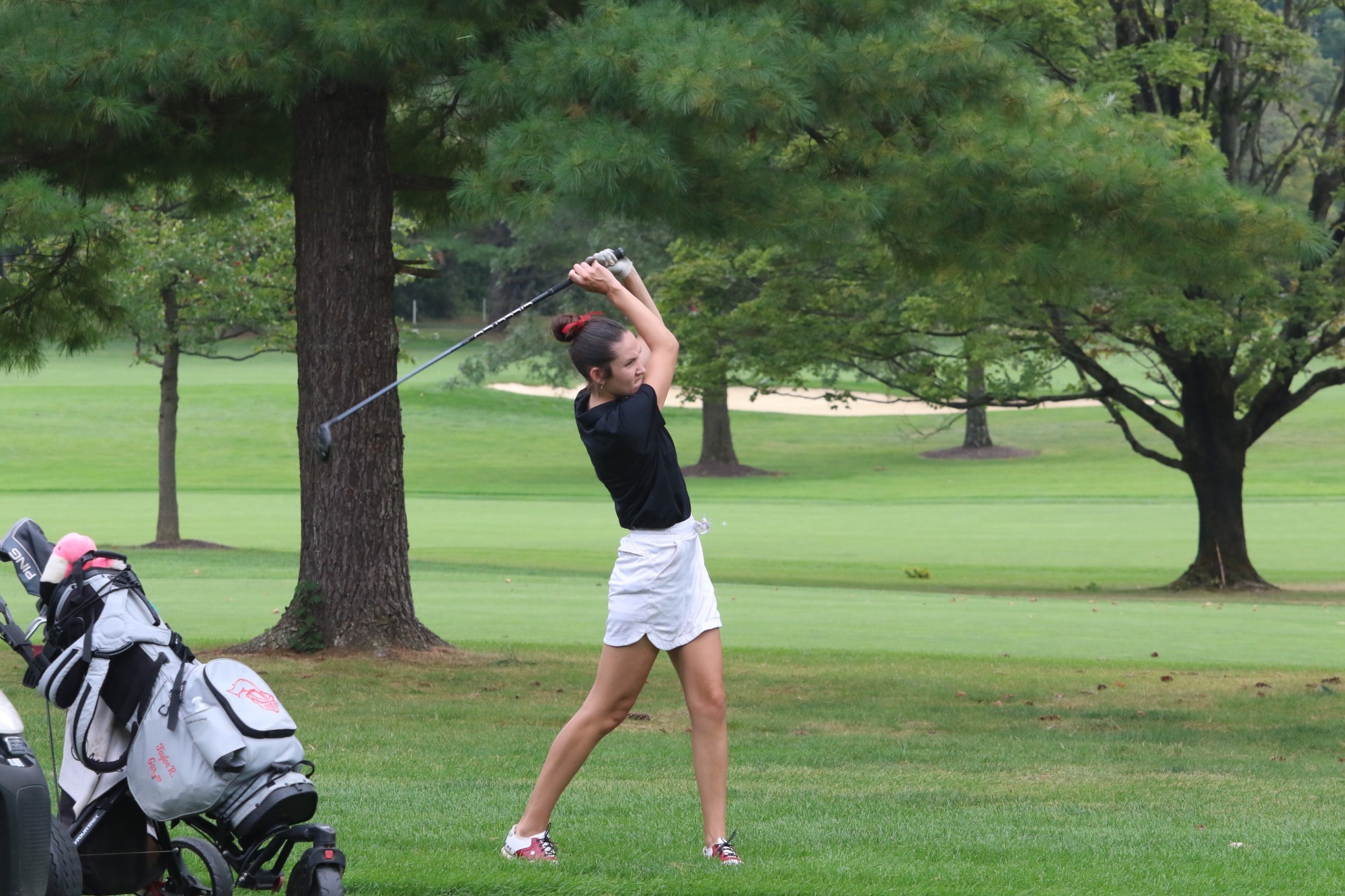 MAC Preview Wgolf