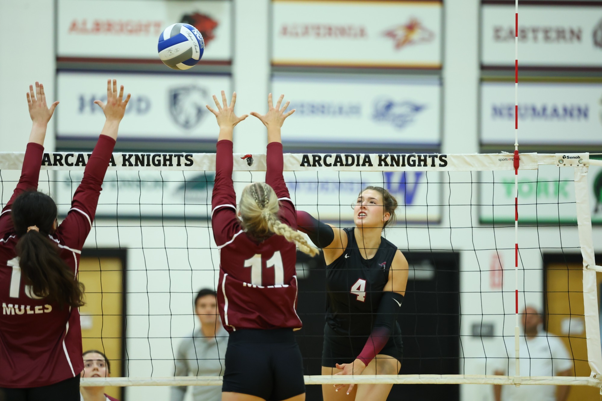 WVB Neumann