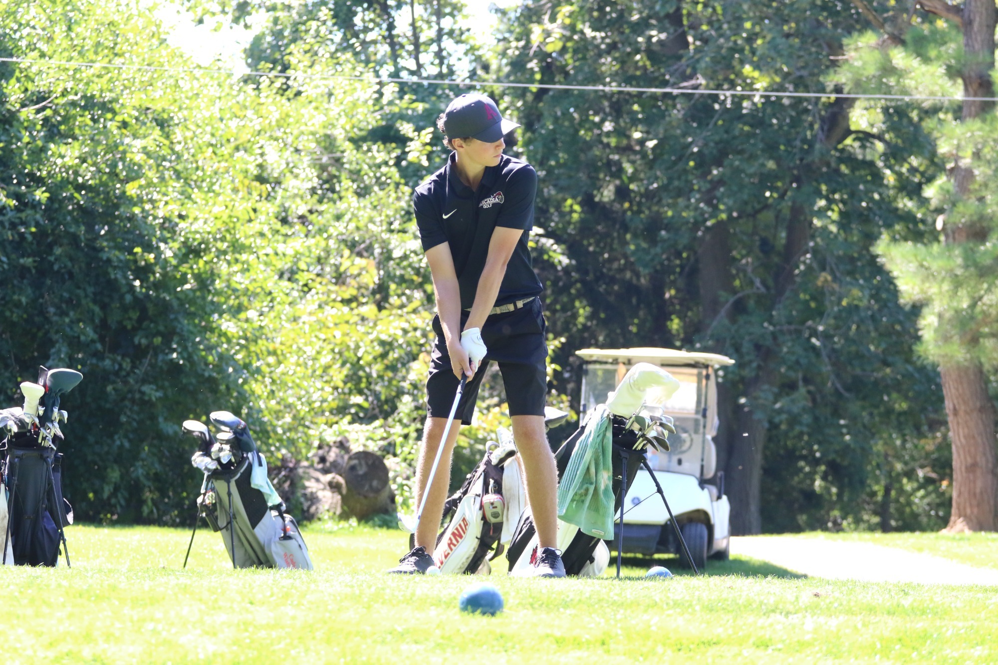 Mgolf Albright 2