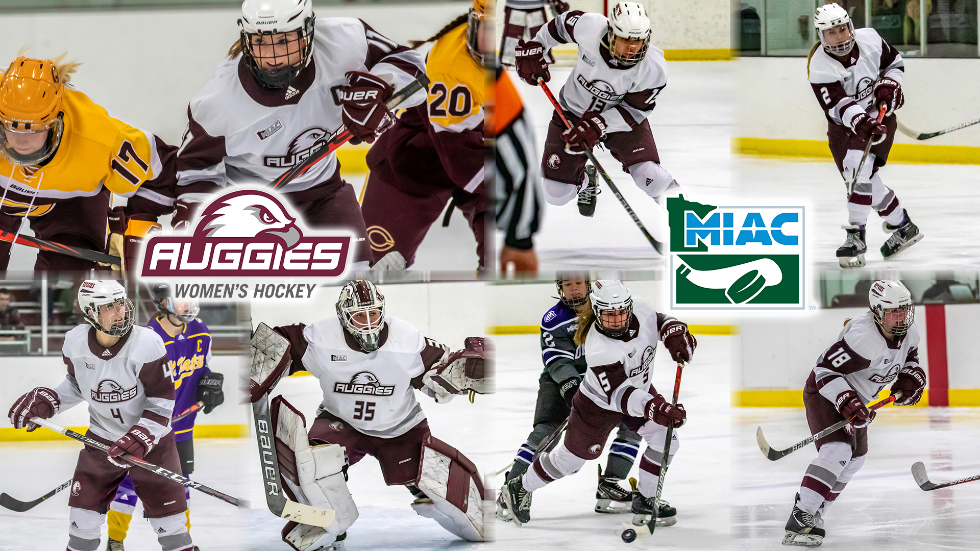 Annie Juergens Women's Ice Hockey Augsburg University Athletics