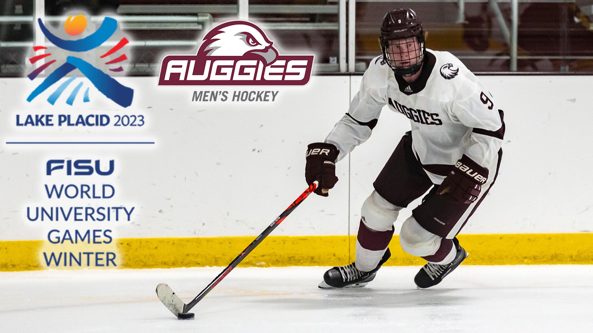 Mason Palmer - Men&rsquo;s Ice Hockey - Augsburg University Athletics