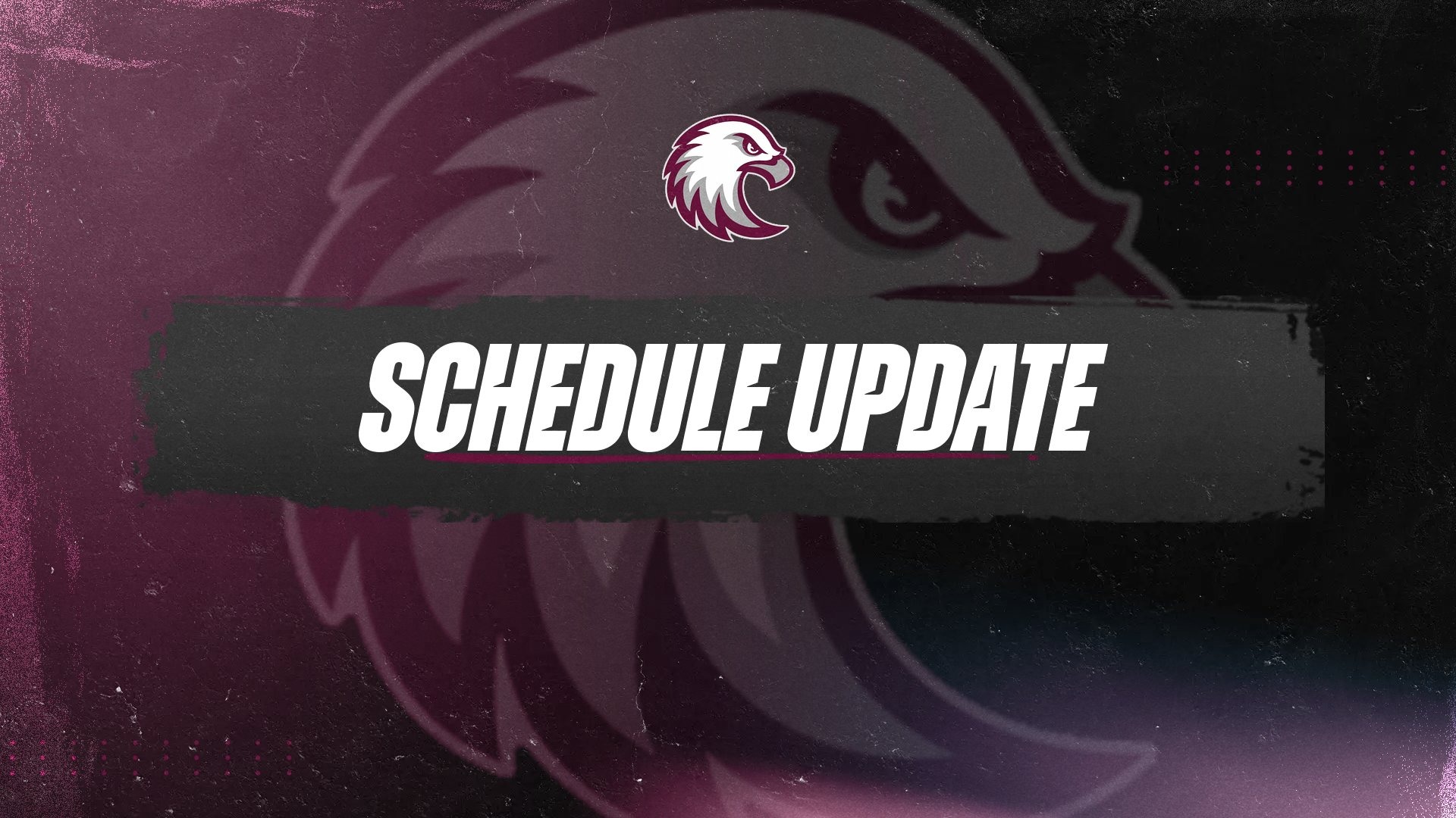 Schedule updates