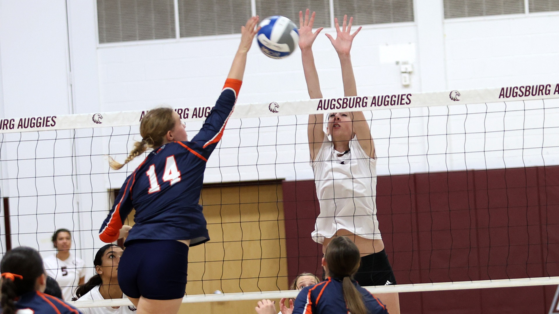 Gwynn Gorter blocks a shot during a 2026 Augsburg volleyball match.