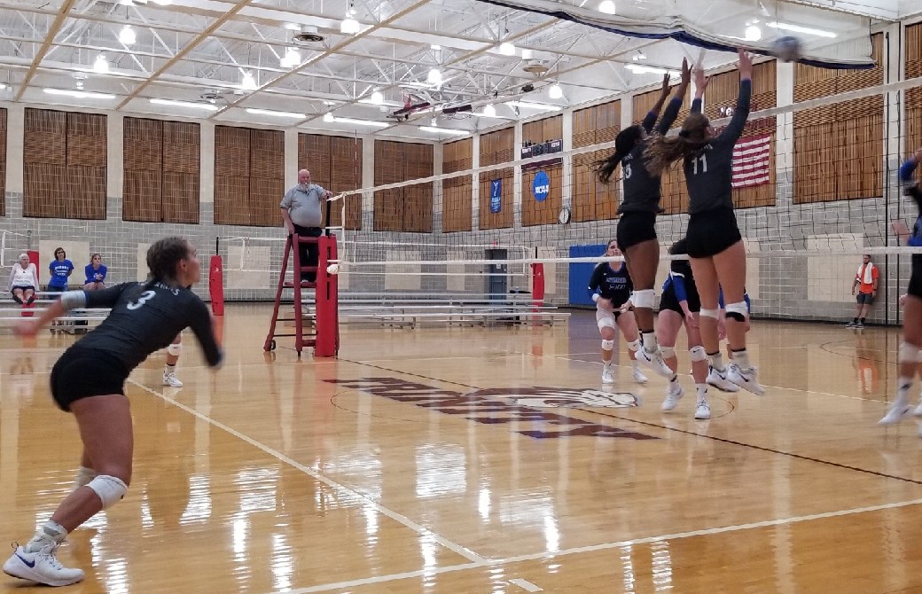 Opening day sweep jump starts 2018 for Spartan volleyball Aurora University Athletics