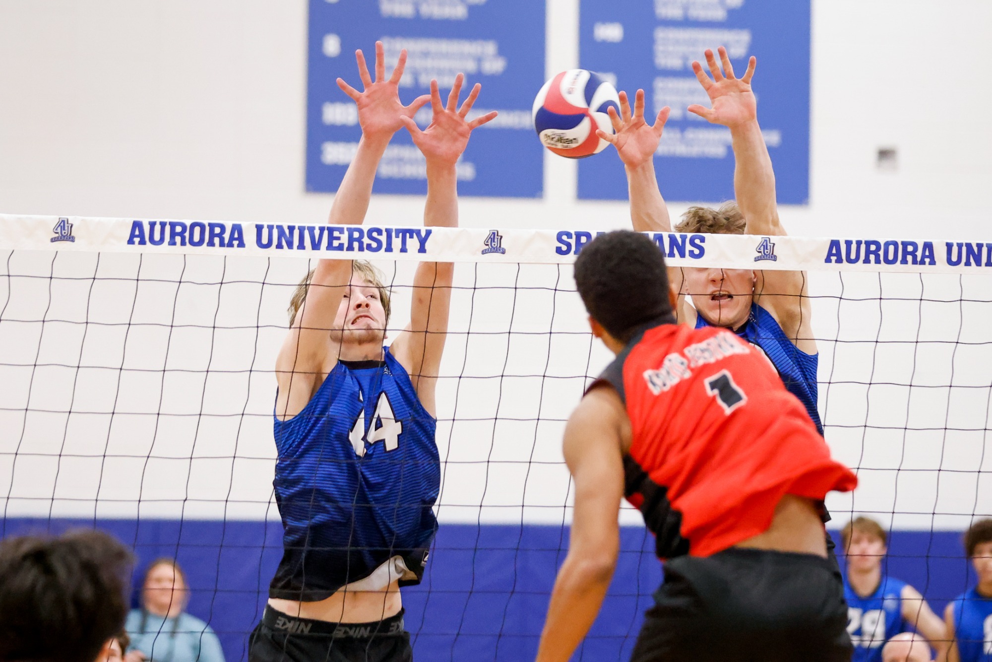 Martin McKee Men's Volleyball Aurora University Athletics