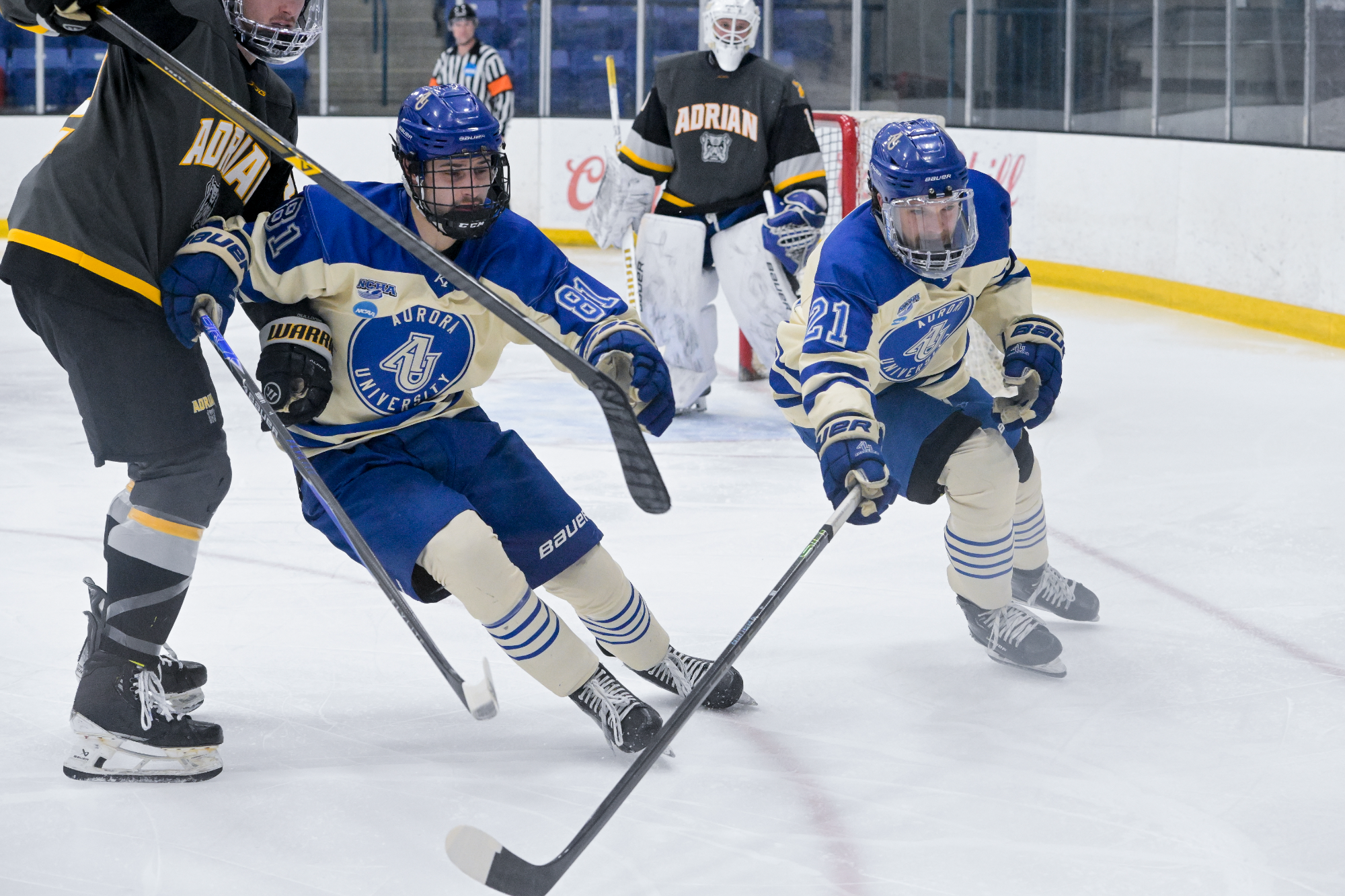 Aurora Men’s Hockey vs. Adrian