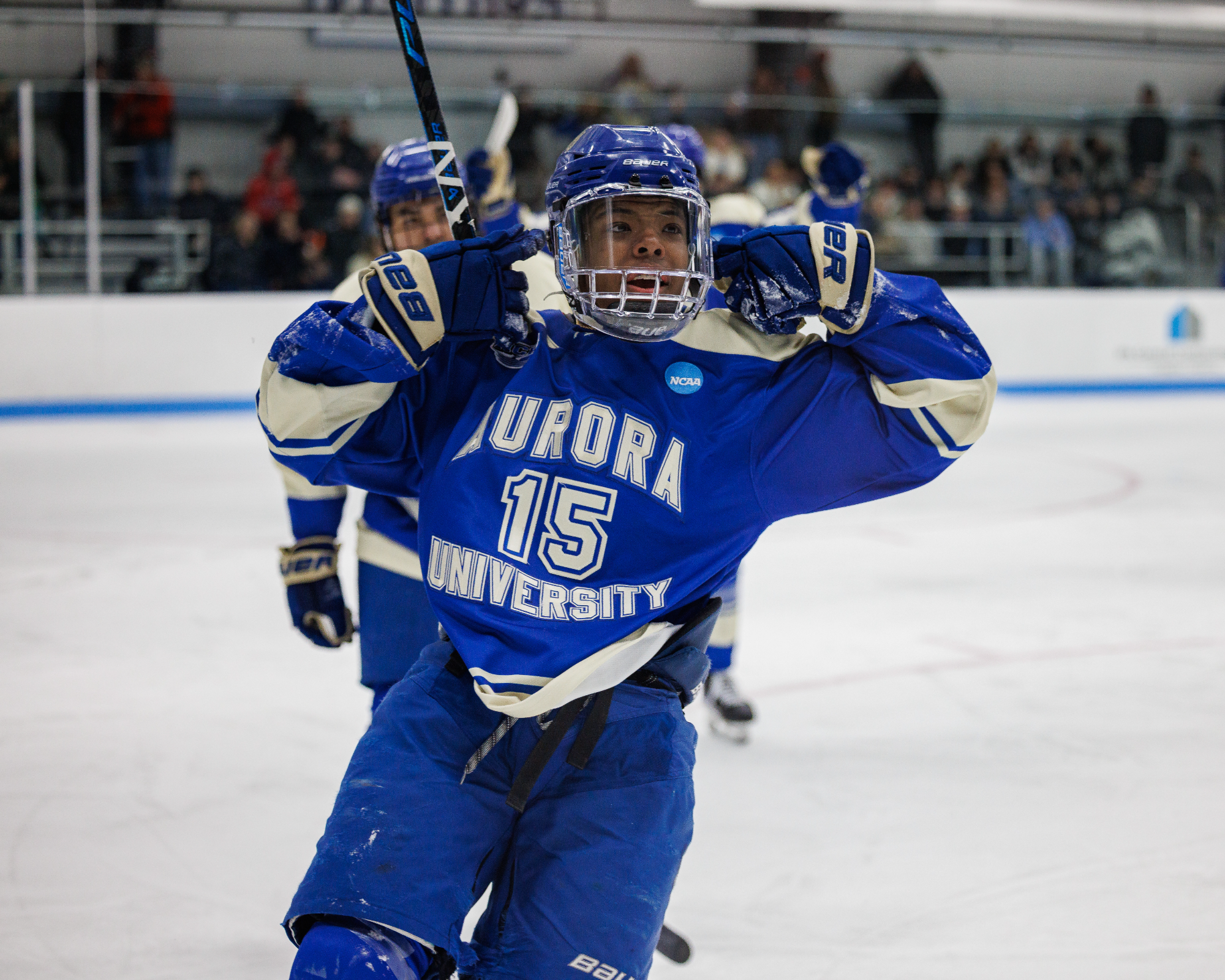 NCAA Men's Hockey vs Endicott