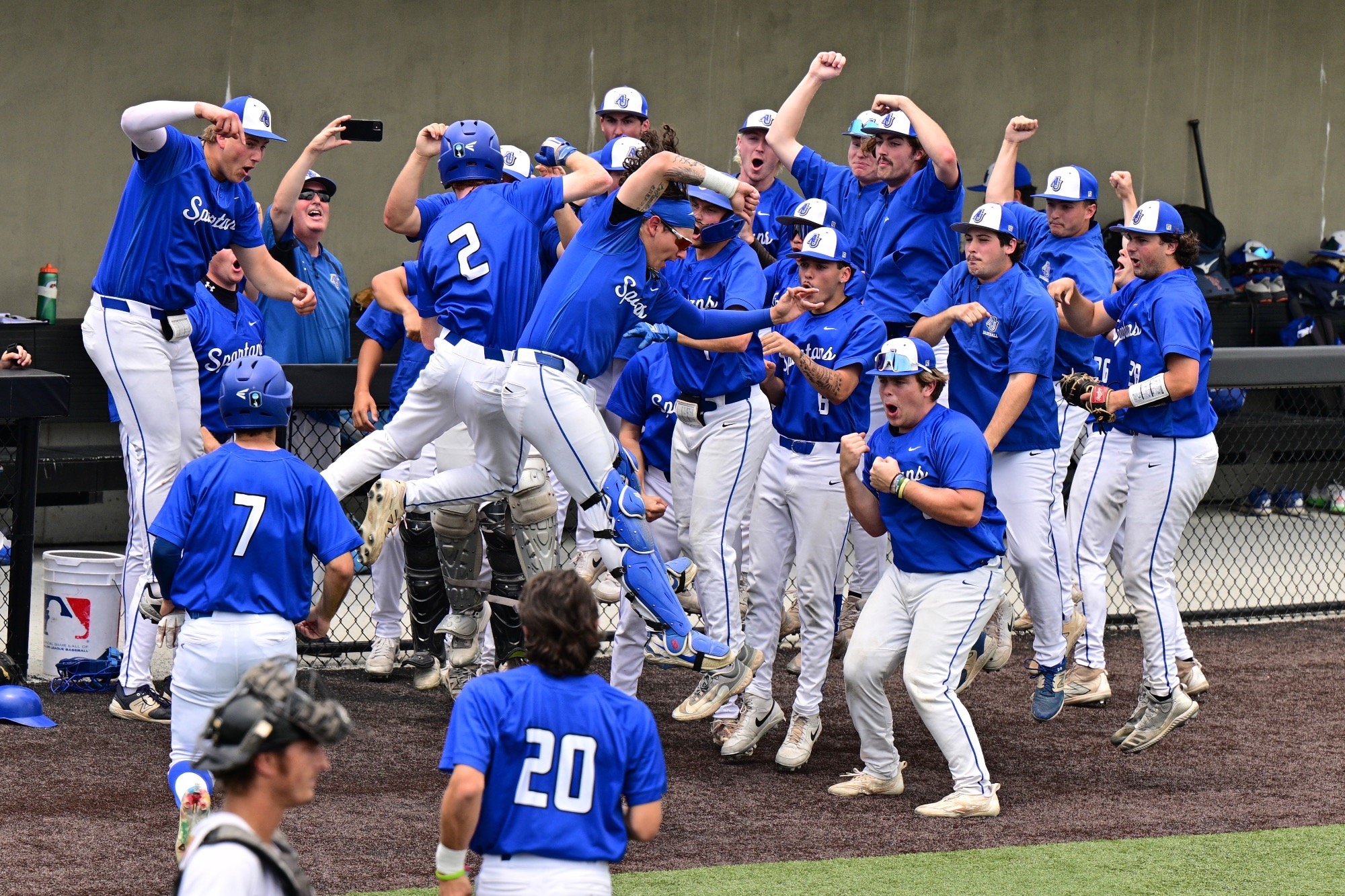 Baseball celebration