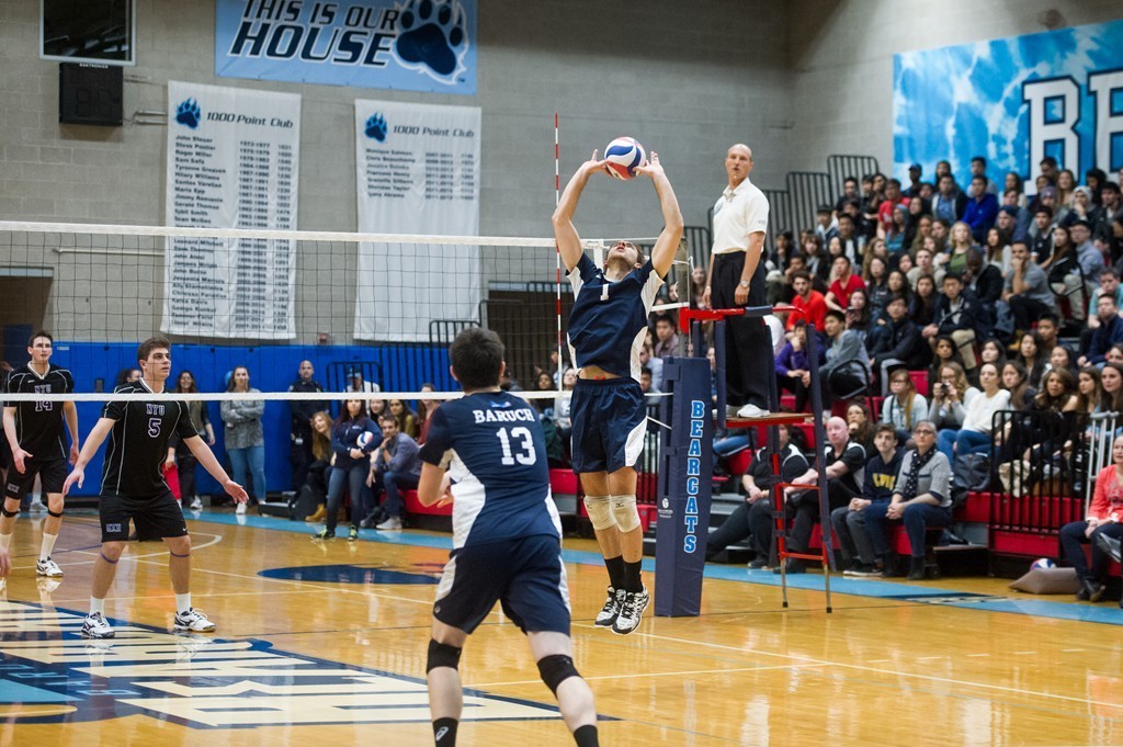 Brian Coniglio 2016 Men's Volleyball Baruch College Athletics
