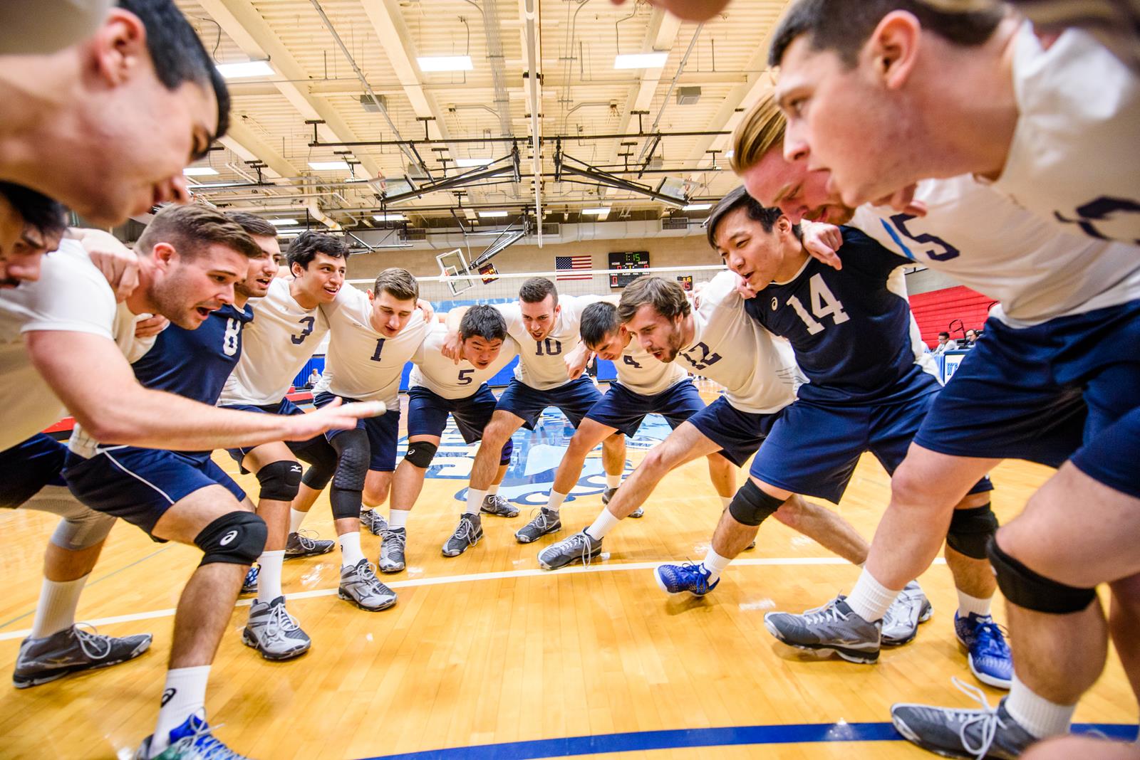 Ryan Pape 2017 Men's Volleyball Baruch College Athletics
