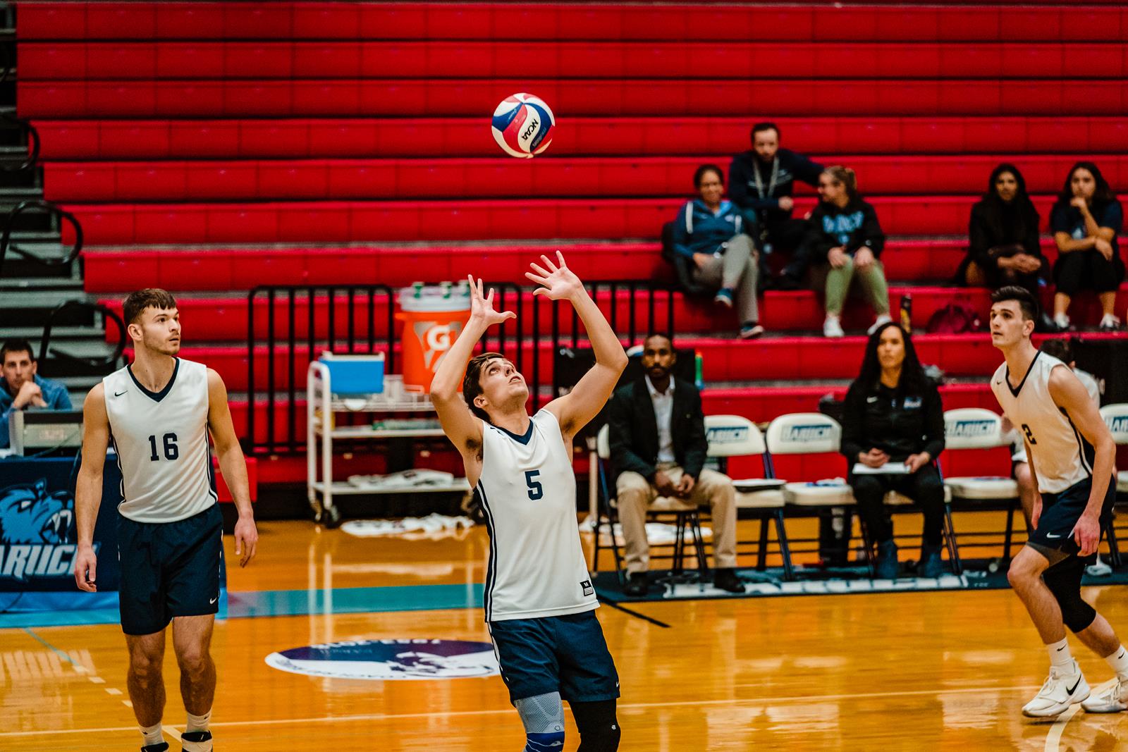 Edward Grinberg 2020 Men's Volleyball Baruch College Athletics