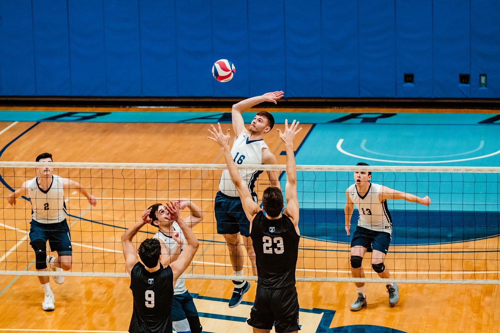 Evan Takos 2020 Men's Volleyball Baruch College Athletics