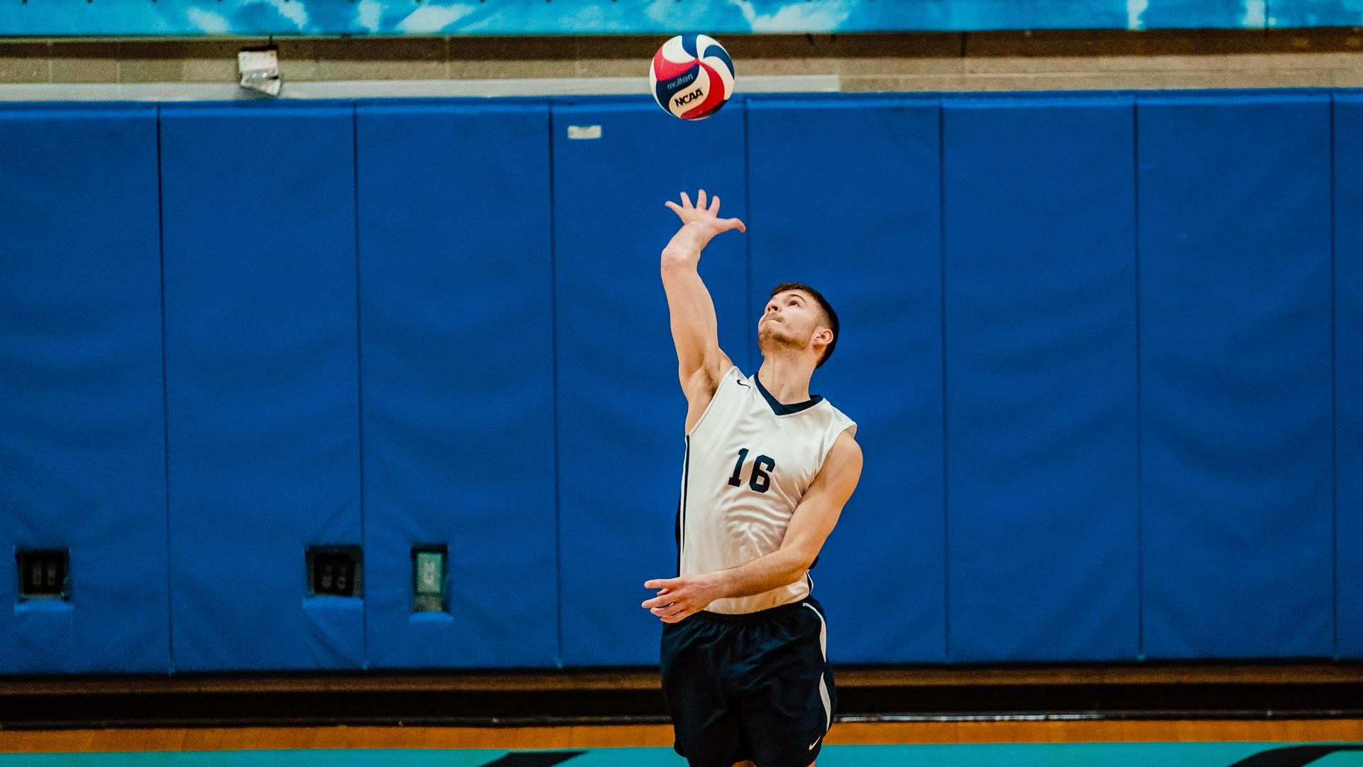 Evan Takos 2020 Men's Volleyball Baruch College Athletics