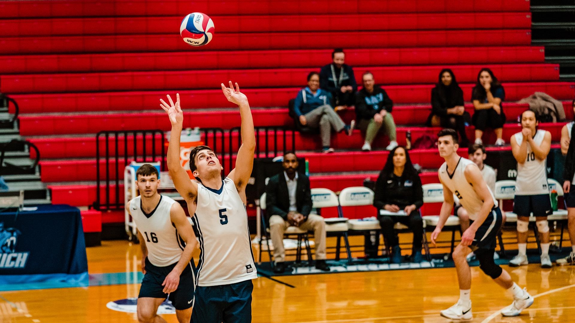 Edward Grinberg 2020 Men's Volleyball Baruch College Athletics