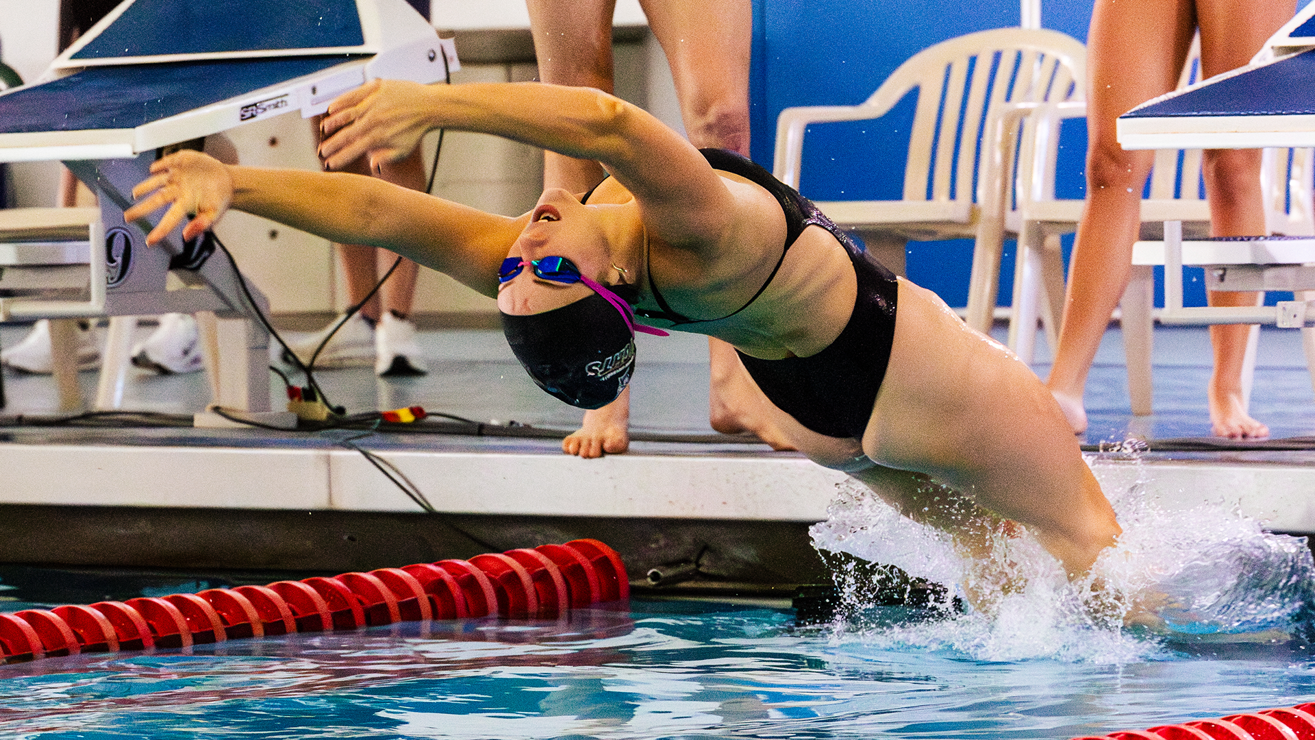 Female swimmer dives into the pool for a backstroke event