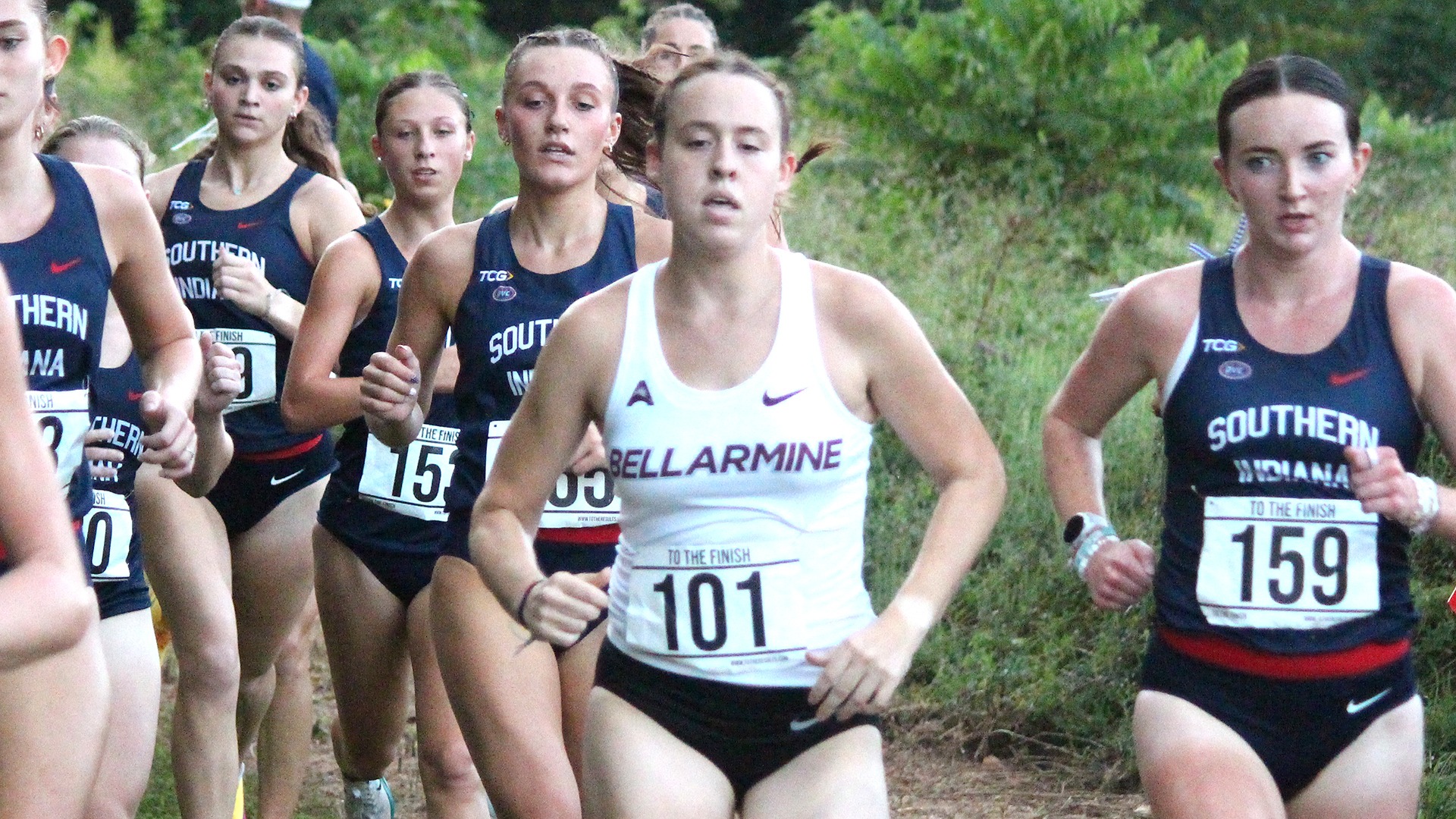 Kynzlei Bassett races in the USI meet.