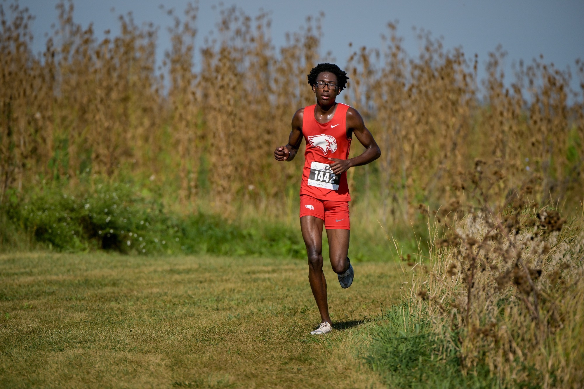 Men's Cross Country