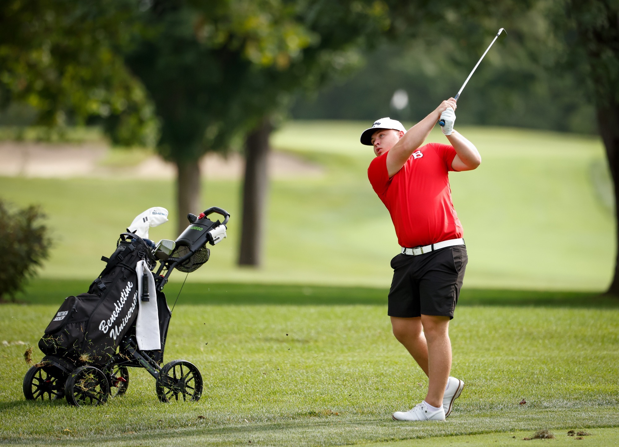 Men's Golf