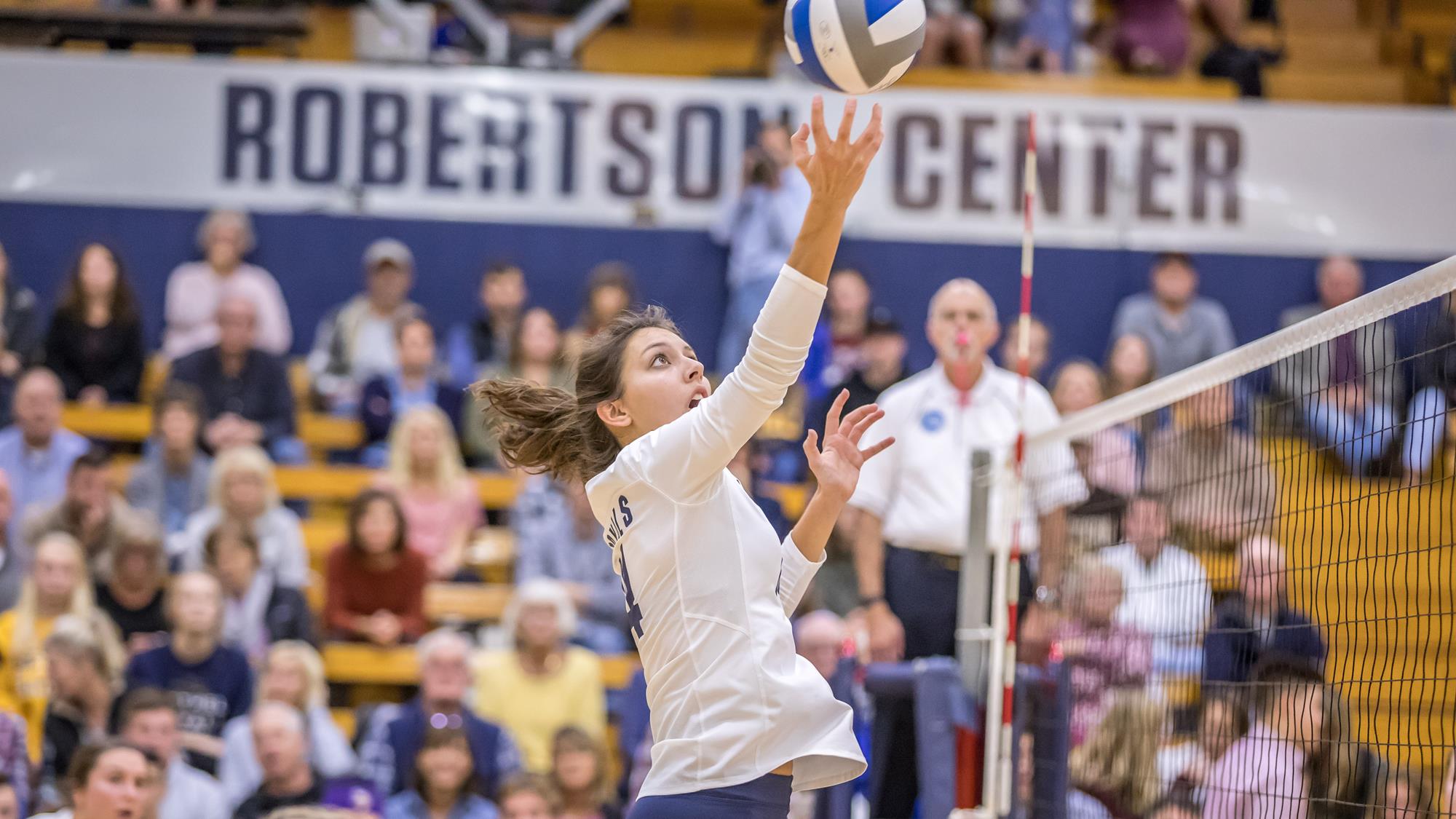 Maria Claflin Volleyball Bethel University Athletics