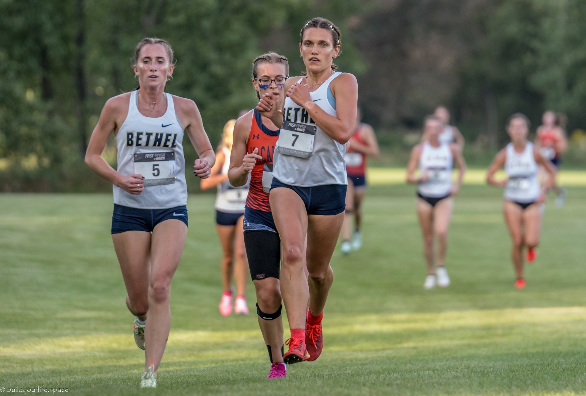 Hay Cargill Olaf 2025