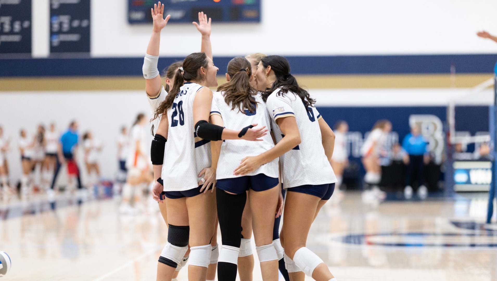wvb vs au