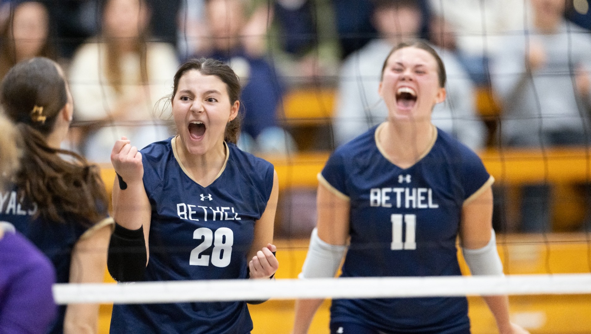 wvb