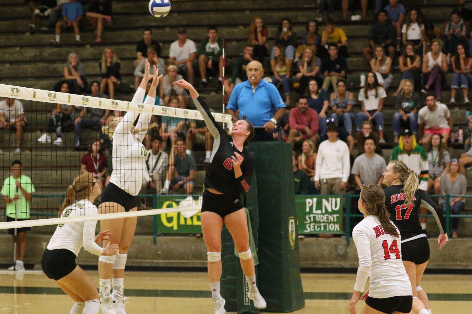 Brinley Beresford Volleyball Biola University Athletics