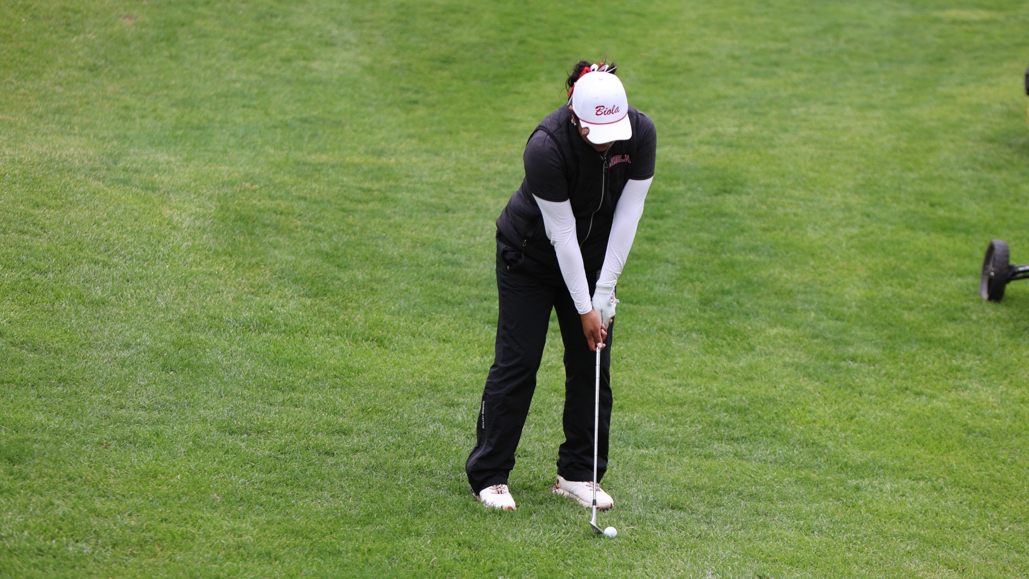 Mel chipping