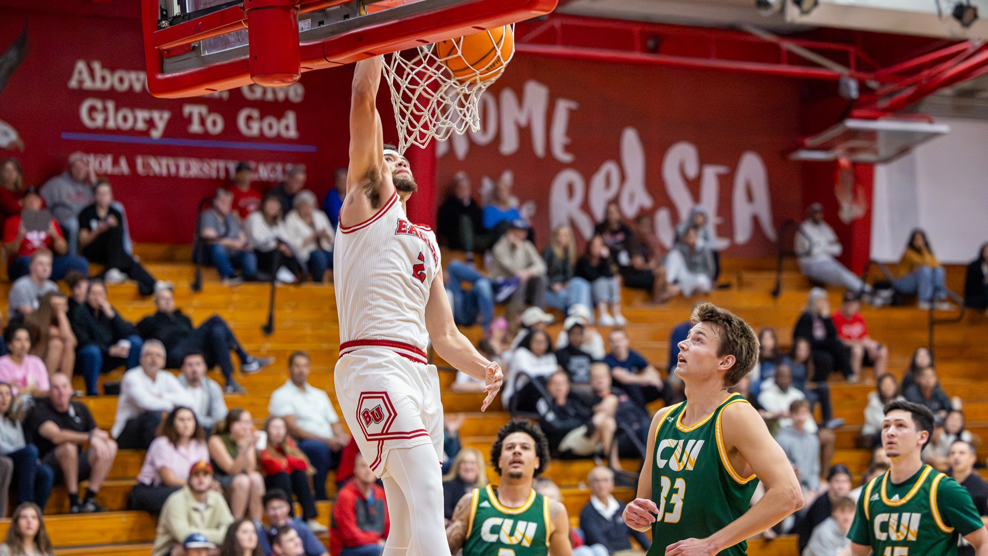 Cameron Brown Dunkaroo