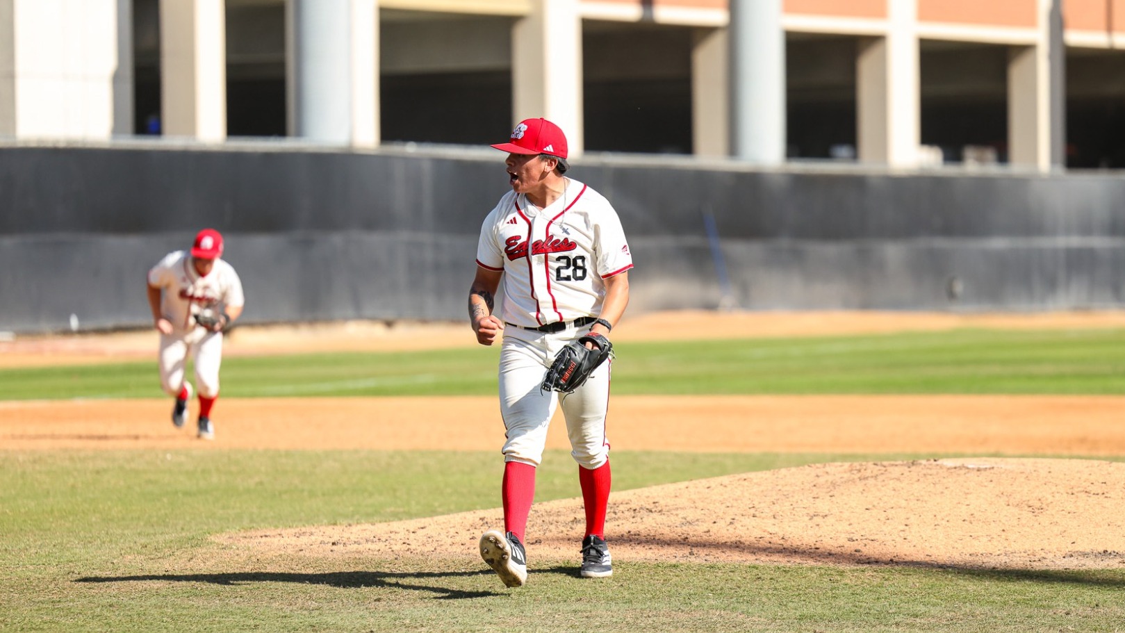 Magallan Celebrating