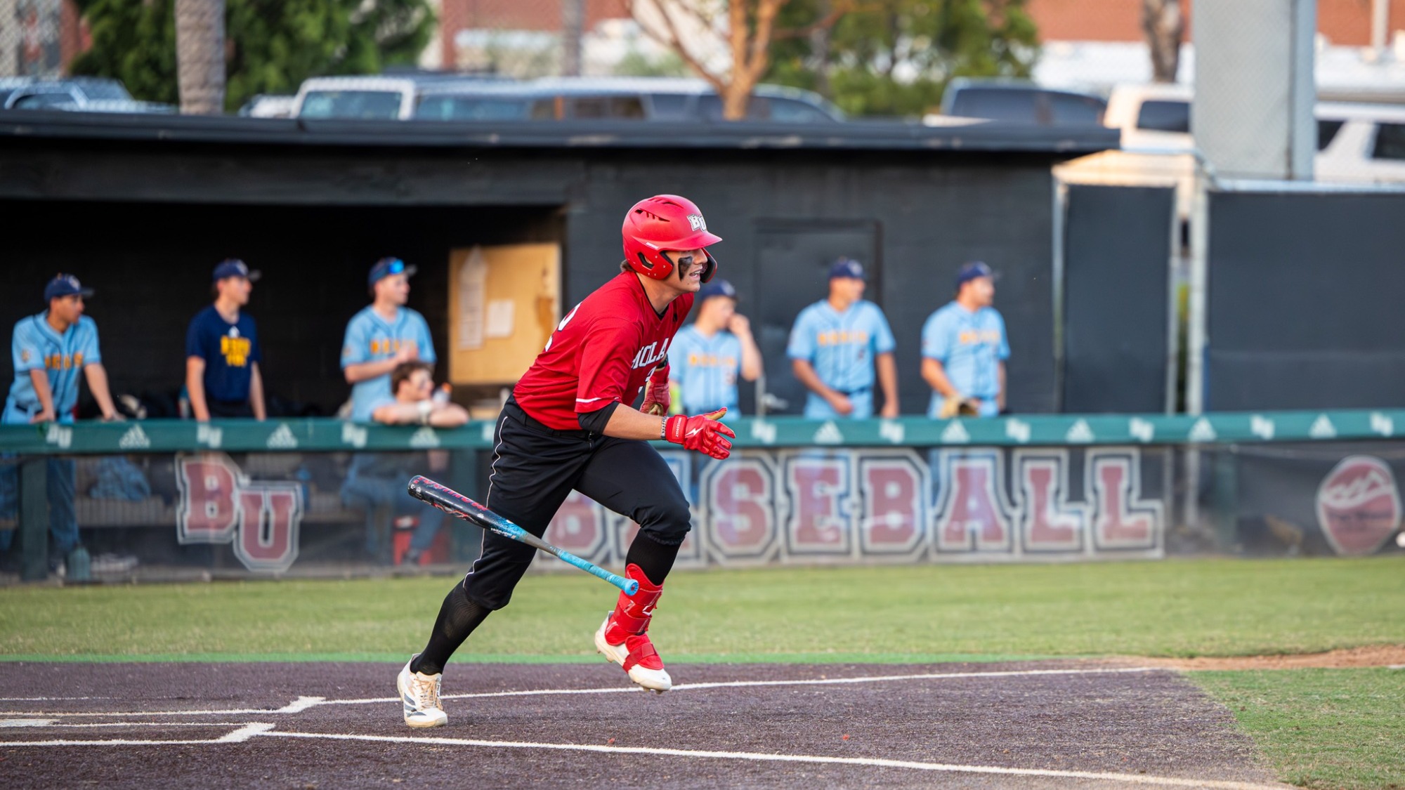 Tewinkle tossing bat