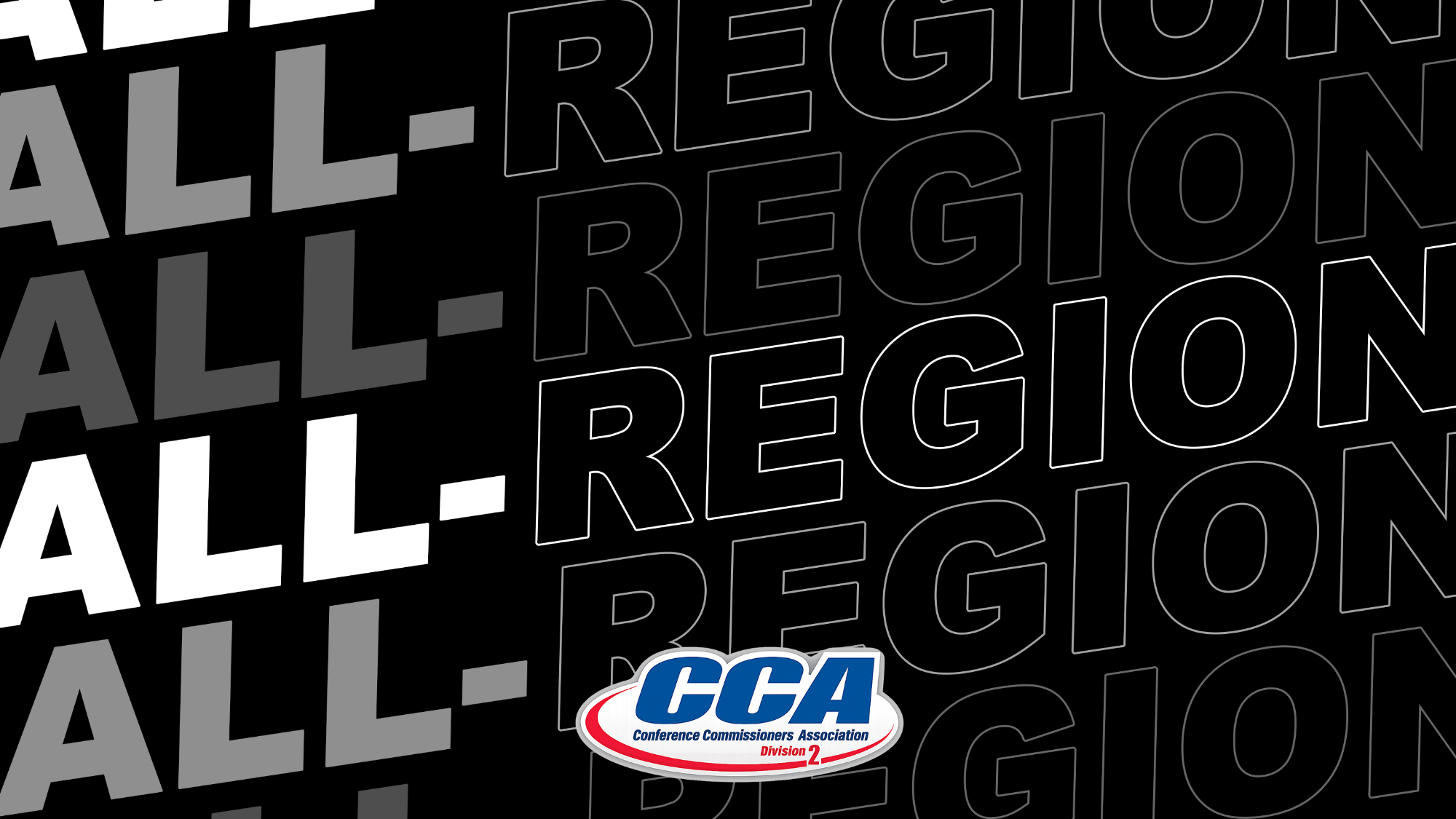 D2CCAA Baseball Story