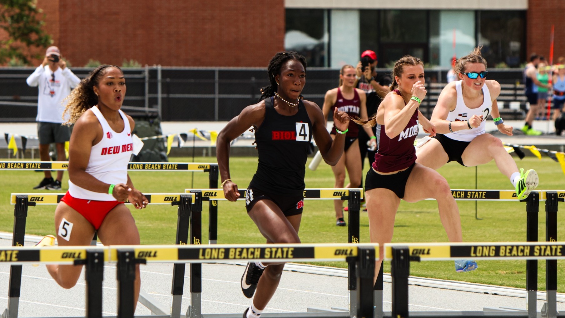 Ebi hurdling