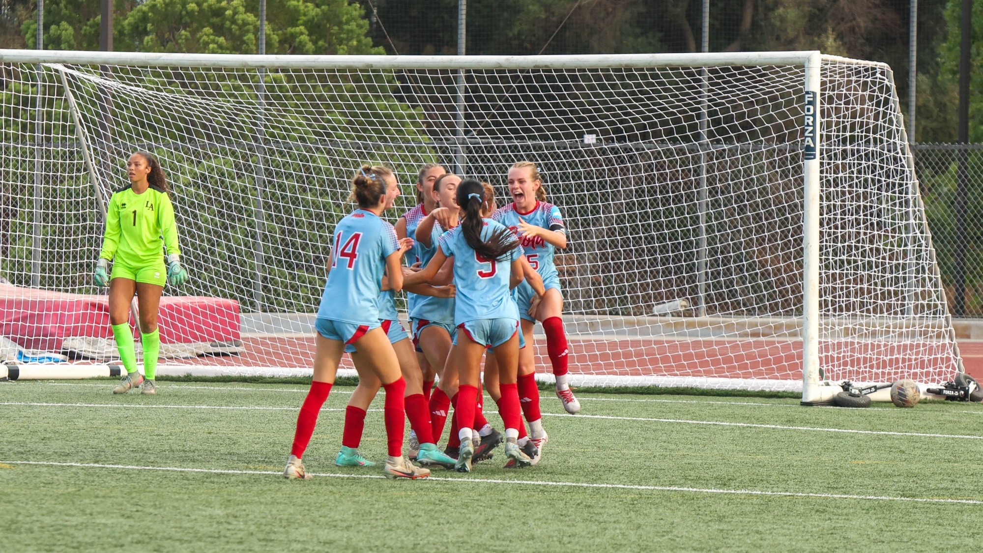 Goal Celebration