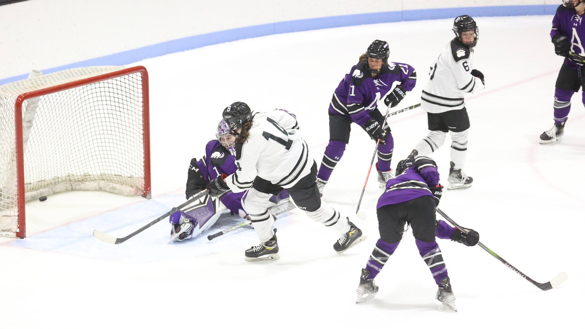 Elena DiMagno 202324 Women's Ice Hockey Bowdoin College
