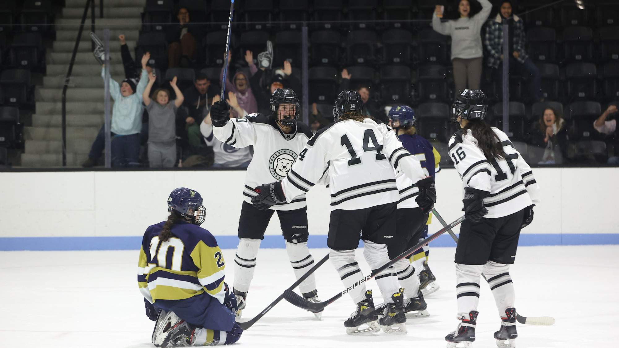Trinity Scores Late To Sink Women's Hockey Bowdoin College