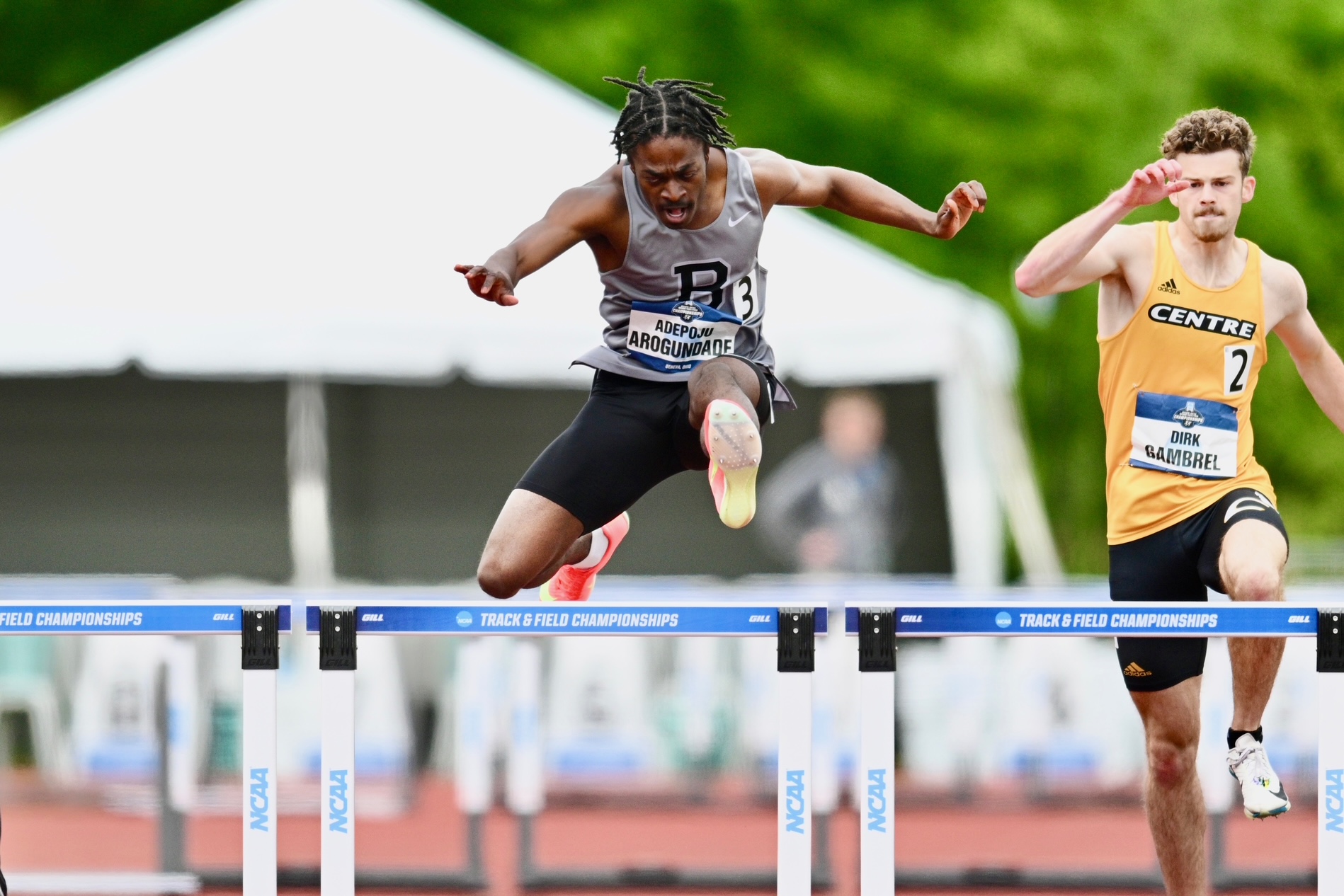 Photo: Carlisle Stockton