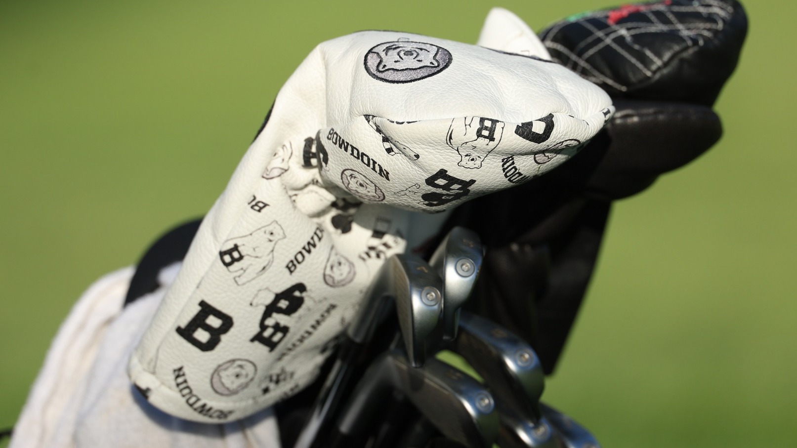 Men's golf stock