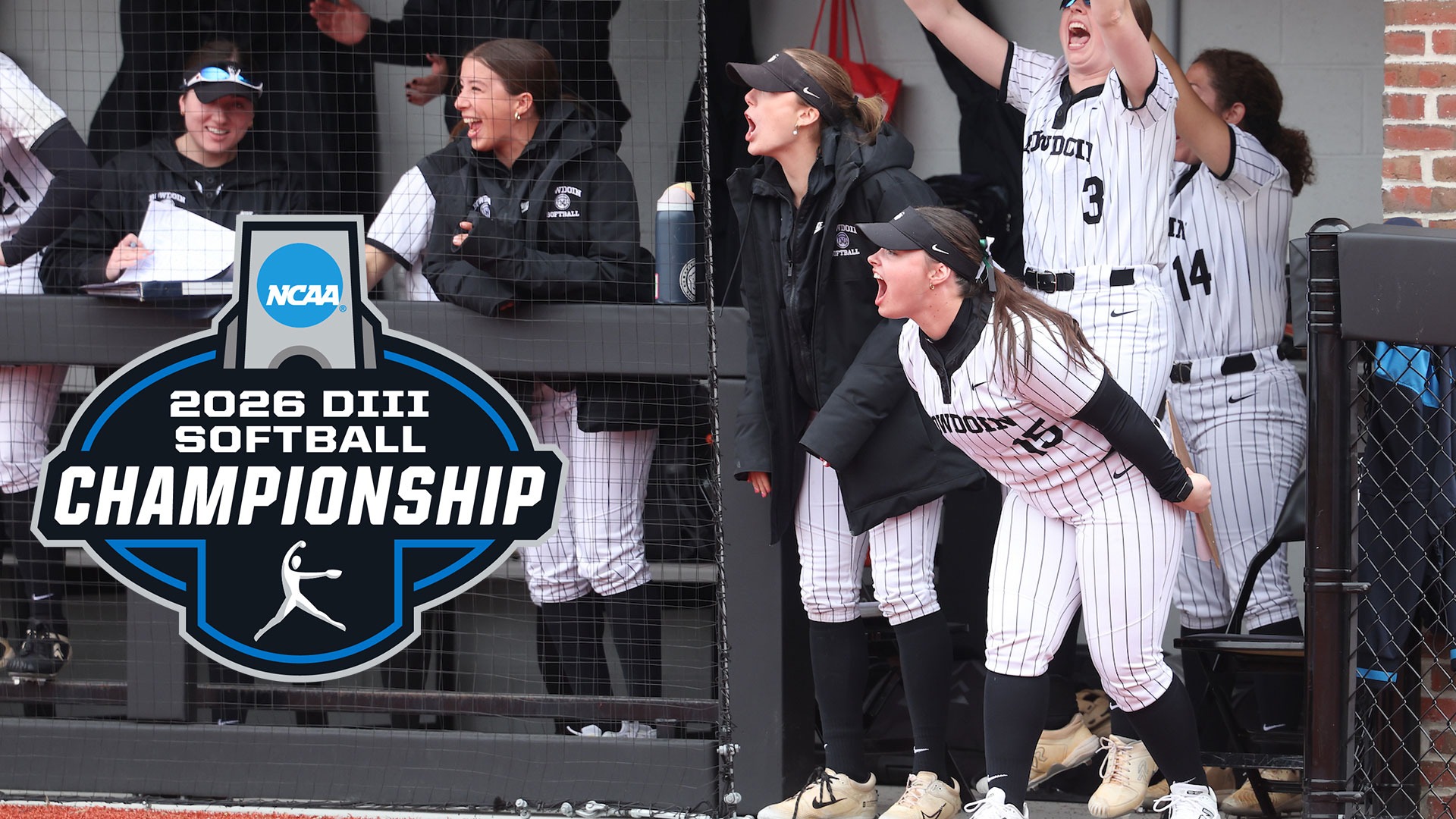 NCAA Softball