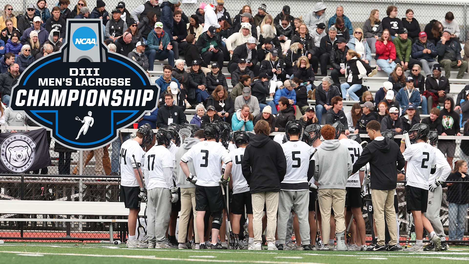 NCAA men's lacrosse