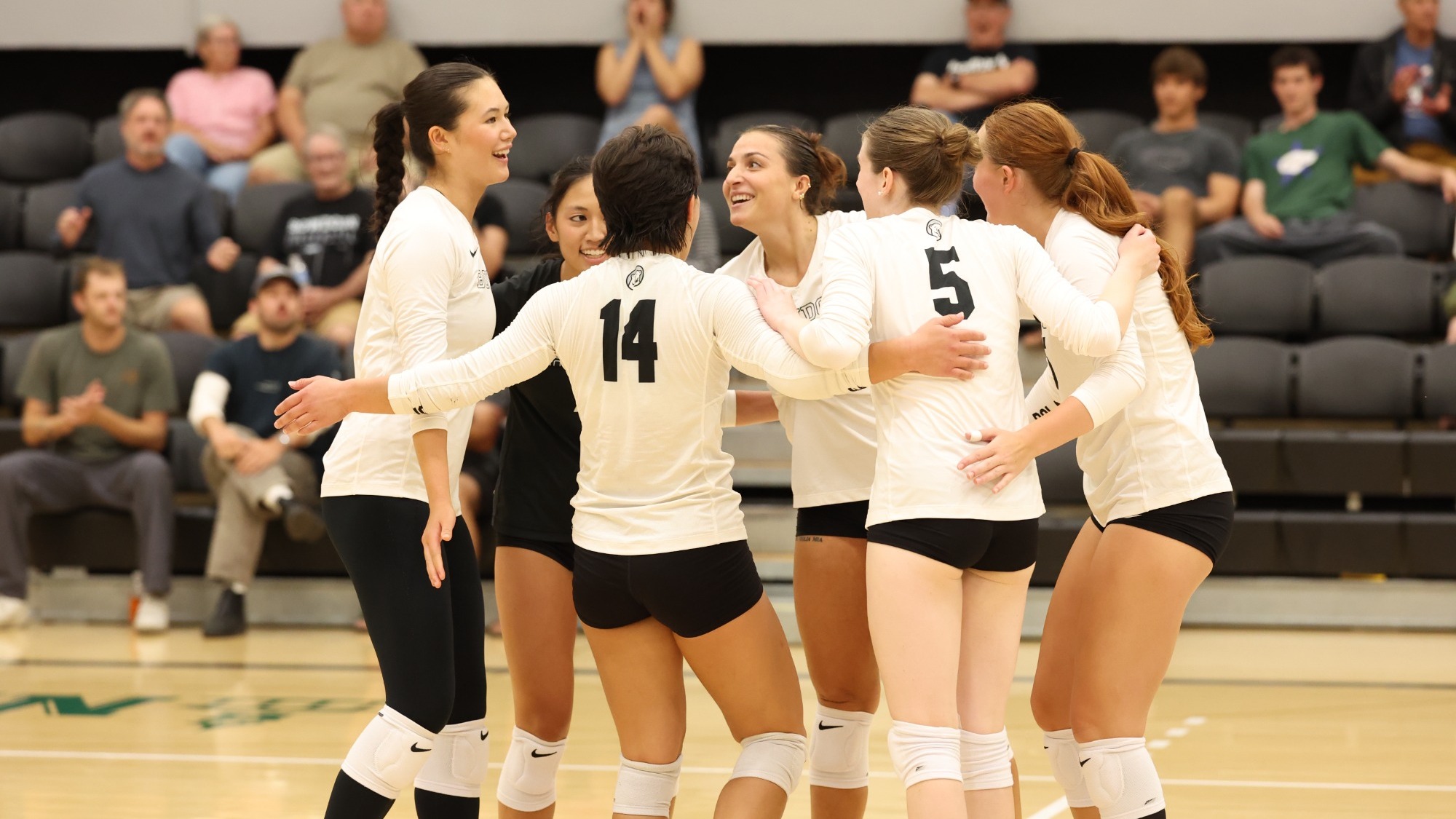 Volleyball at WashU Bears Invite