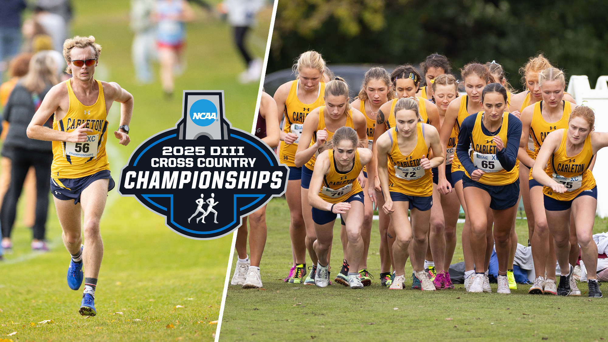 Gabe Nichols racing, and women's cross country team coming off the line. Image overlaid with NCAA Championships logo.