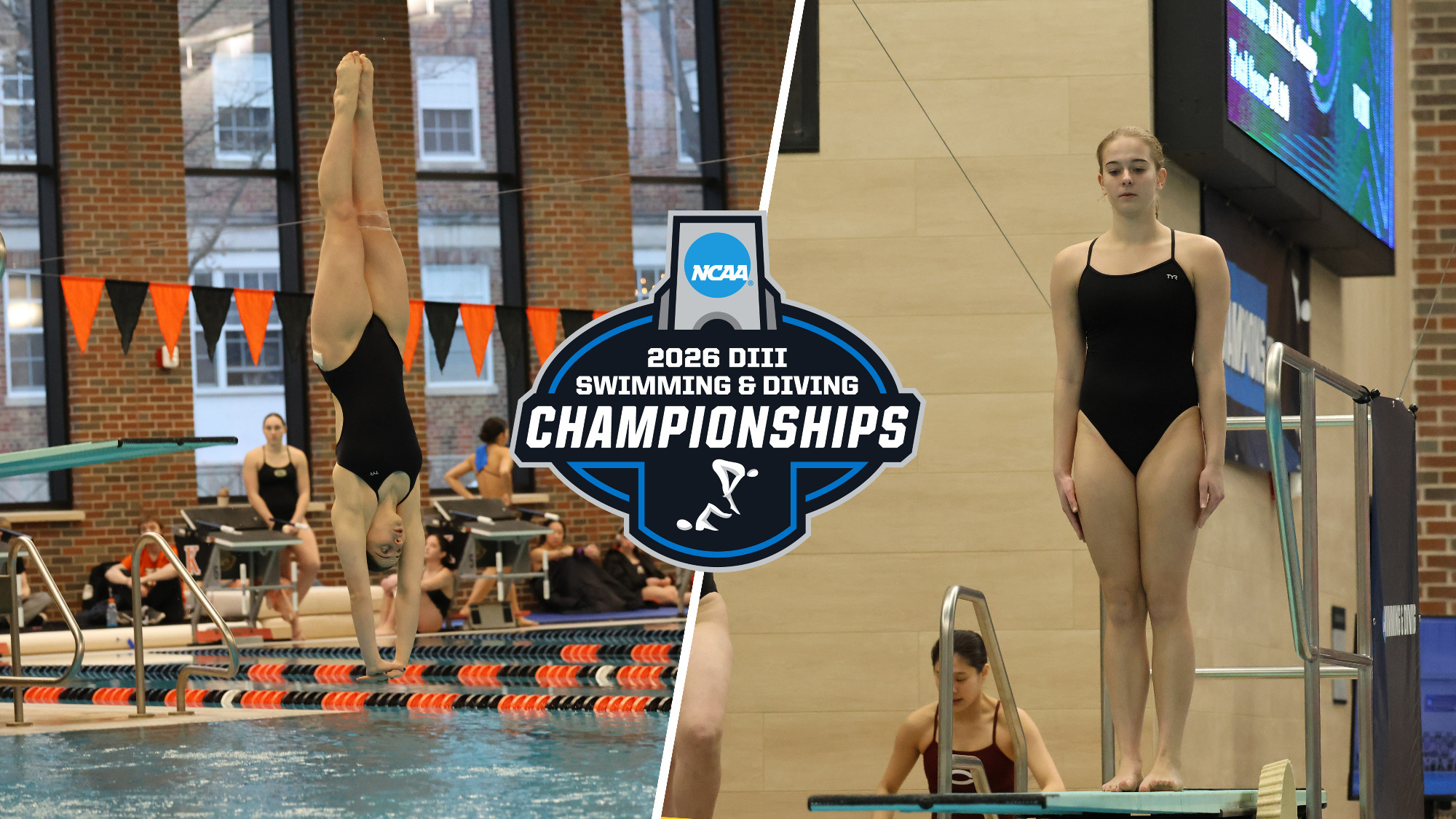NIna Schwab entering the water and Hailey Westrup preparing to dive. Image overlaid with NCAA Championships logo.