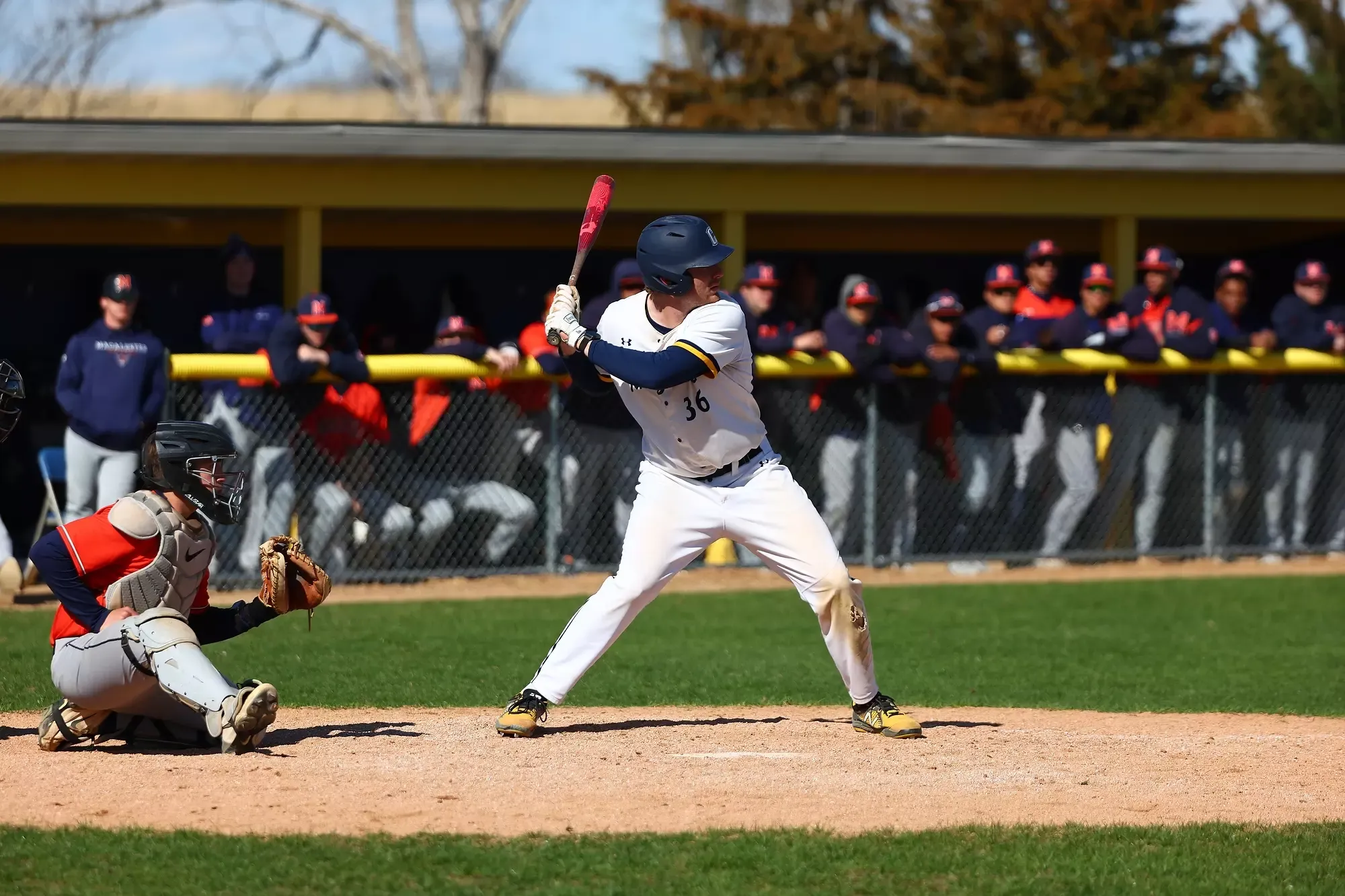 Will Schnepf pulls the bat back to swing.