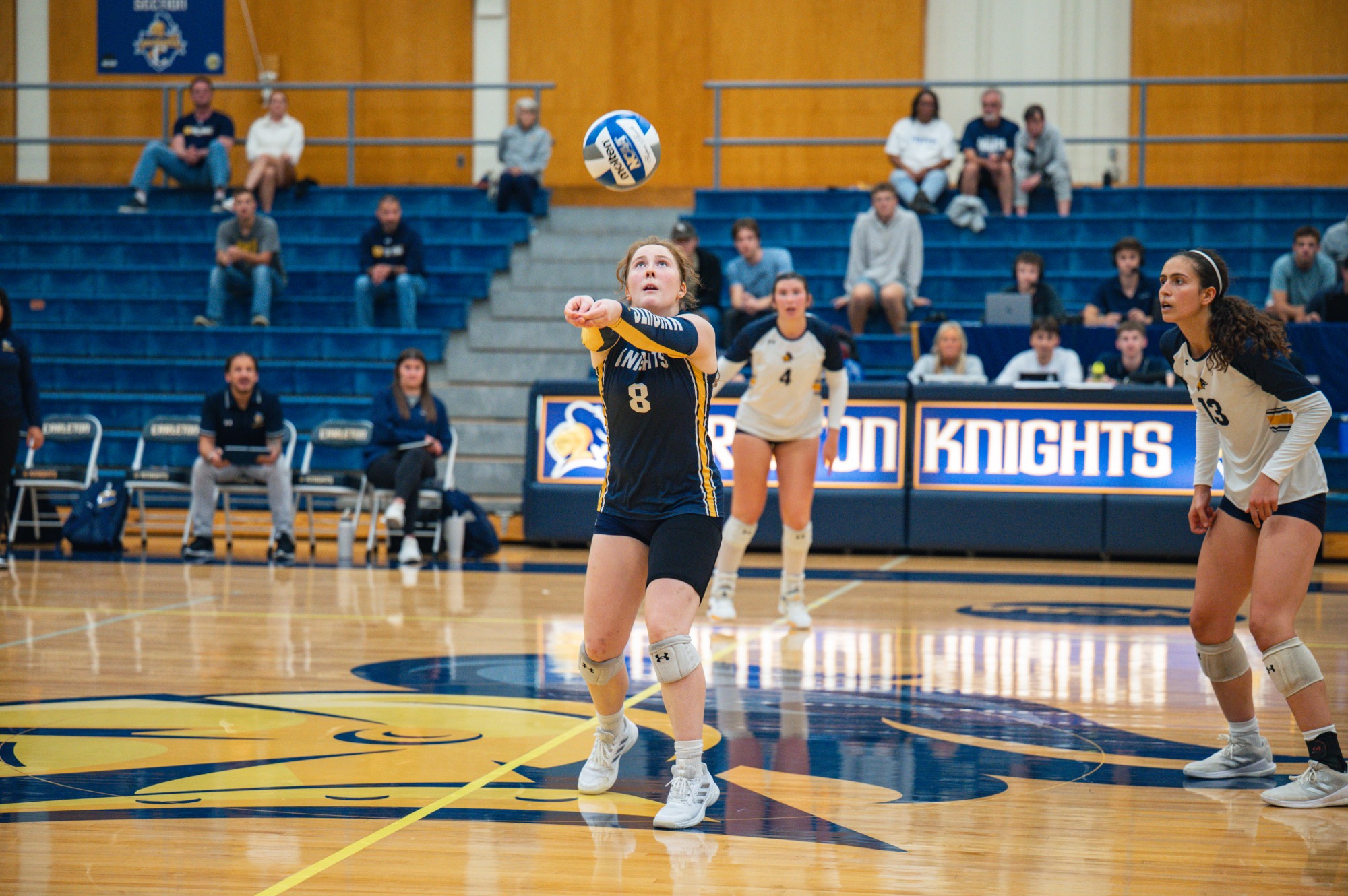 Madeleine Dimitre gets the dig