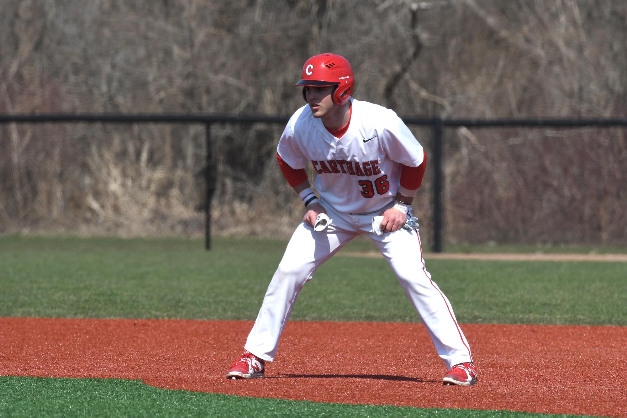 Jake Cinelli Baseball Carthage College Athletics