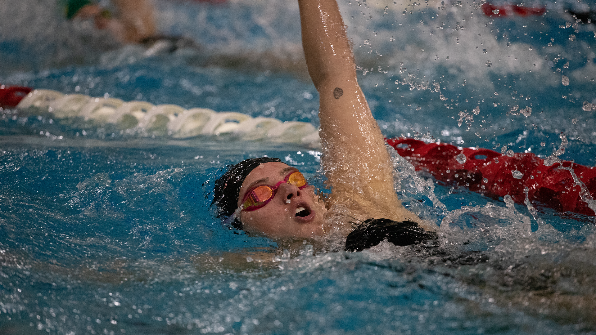 Women's Swim