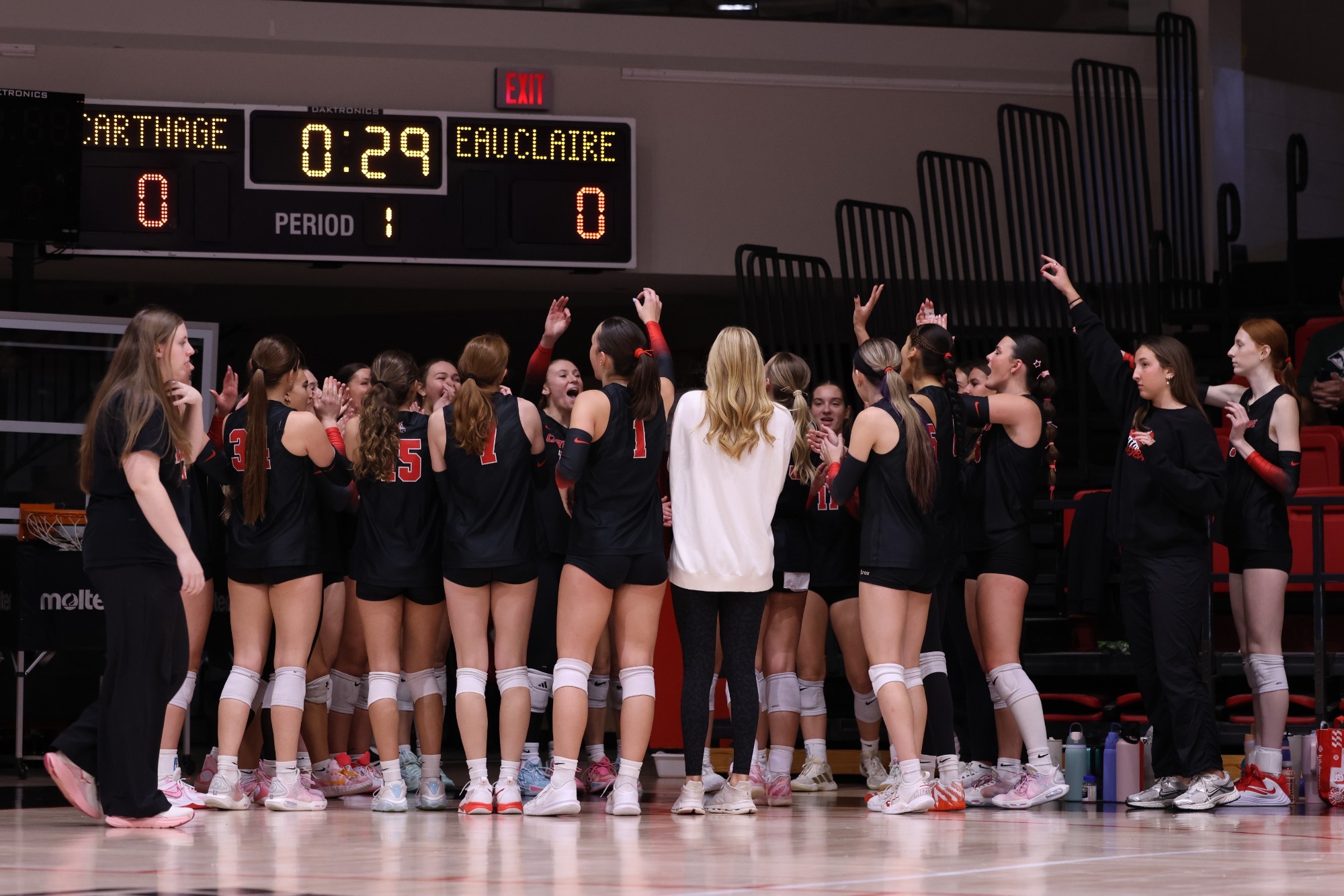 WVB Team