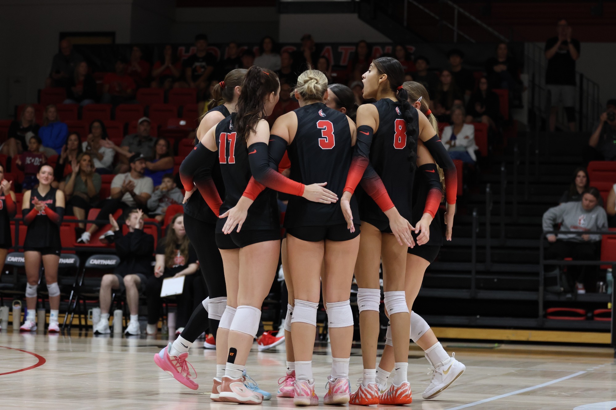 WVB Team